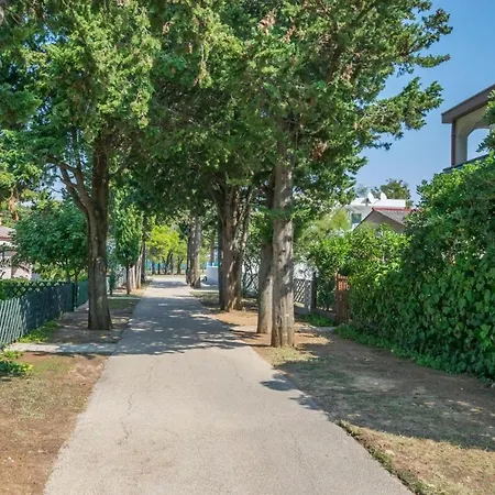 Mira Sabunike Near The Sandy - By Ta Leut Agency Lejlighed Privlaka (Zadar)